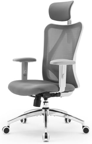 SIHOO M18 Ergonomic Office Chair, Mesh Back Desk Chair with Headrest