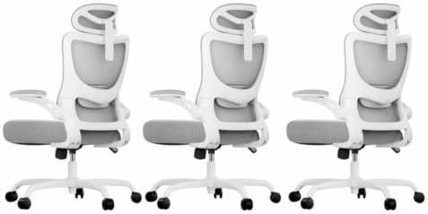 Marsail Ergonomic Office Chair with 3D Armrests, Pack of 3