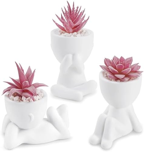 Der Rose 3 Pack Pink Fake Succulents in Human-Shaped Pots for Desk Decor