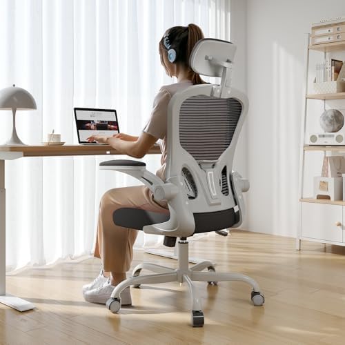 Synorla Office Chair|330LBS Capacity Ergonomic Desk Chair
