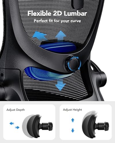 HUANUO Ergonomic Office Chair, High Back Computer Desk Chair with Adjustable Lumbar Support and Headrest, Comfy Gaming Chair with 3D Armrests, Home Office Rolling Chair, Max Load 300 lbs, Pack of 10