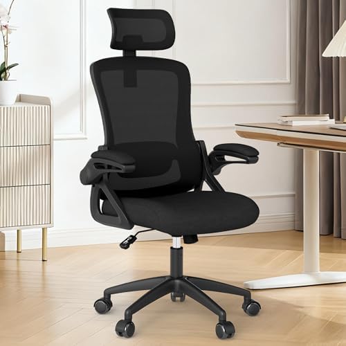 Fizzin Office Chair Mesh Computer Chairs with Adjustable Lumbar Support