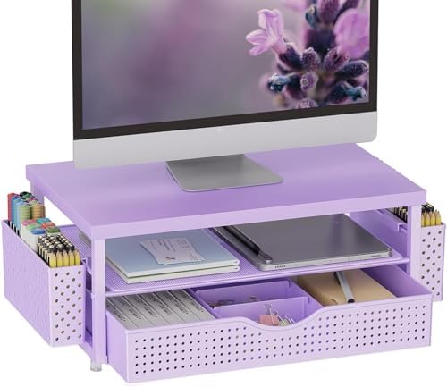 gianotter Desk Organizers and Accessories, Monitor Stand with Drawer and 2 Pen Holder, Desktop Organizer Suitable for Offices and Dormitories (Matte Purple)
