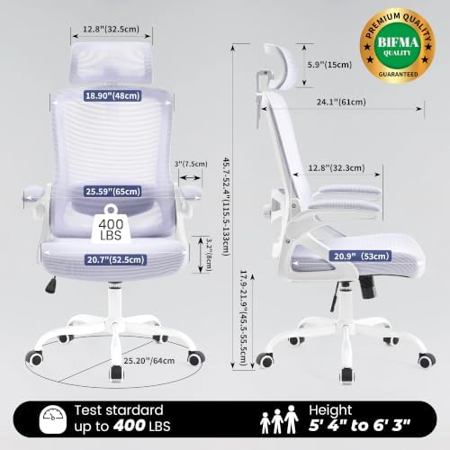 Fizzin Office Chair Mesh Computer Chairs with Adjustable Lumbar Support