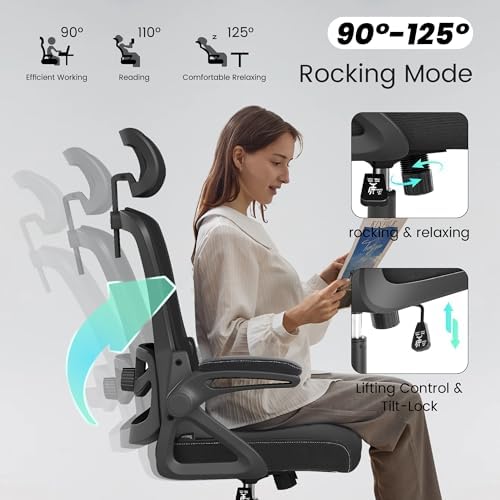 Fizzin Office Chair Mesh Computer Chairs with Adjustable Lumbar Support