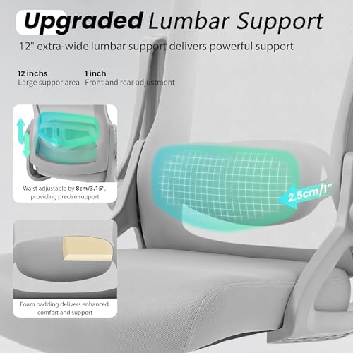 Fizzin Office Chair Mesh Computer Chairs with Adjustable Lumbar Support