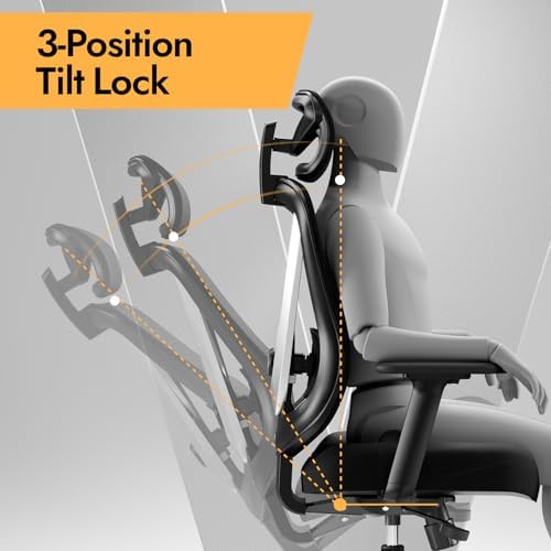 HOLLUDLE Ergonomic Mesh Office Chair - 3D Adjustable Lumbar Support & 3D Armrests, V-Shaped Back, Adjustable Desk Chair for Office & Home, Black