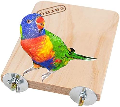 Litewoo Bird Wood Perch Platform Stand Shelf for Parrot Budgie Parakeet, S | Natural wood, smooth sanded surface for chew/stand, for small-medium birds/cockatiel/conure/cockatoo/cage, 6.10x3.15x0.59in