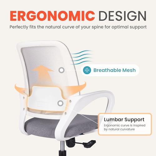 NEO CHAIR Home Office Desk Chair Ergonomic Mesh with Lumbar Support, Grey