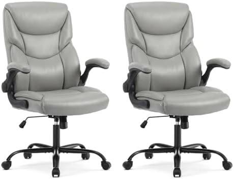 DUMOS Office Chair Set of 2, Executive Desk Chairs, Lumbar Support