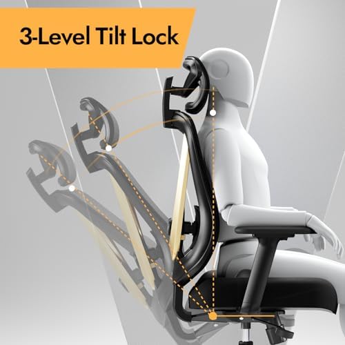 HOLLUDLE Ergonomic Mesh Office Chair - 3D Adjustable Lumbar Support & 3D Armrests, V-Shaped Back, Adjustable Desk Chair for Office & Home, Black and Gold