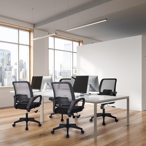 NEO CHAIR Home Office Desk Chair Ergonomic Mesh with Lumbar Support, Black