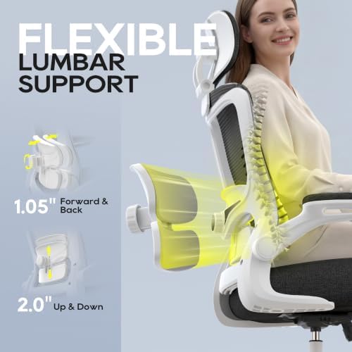 Ergonomic Office Chair for Long Hours, Adjustable Padded Lumbar Support for Lower Back Relief, 330 lb Capacity, Comfortable Computer Desk Chair for Home Office, Work & Study