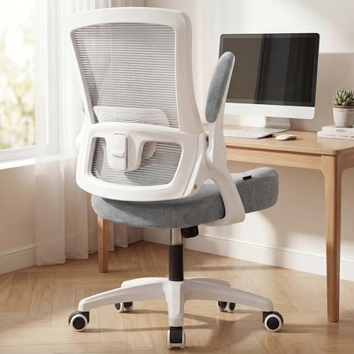 NEO CHAIR Office Desk Chair High Back Mesh Chair Adjustable Lumbar, Grey