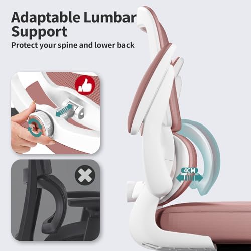 TRALT Office Chair - Ergonomic Desk Chair with Adjustable Lumbar Support, Mesh Computer Chair, Executive Chair for Home Office Comfortable Lumbar Support (1, Pink)