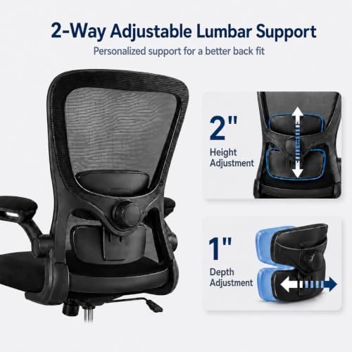 Ergonomic Office Chair - High Back Desk Chair with Adjustable Lumbar Support, Breathable Mesh Back, 330LBS Capacity, Easy Assembly (Matte Black)