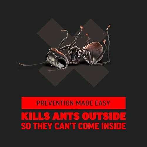 Amdro Ant Killer for Outdoor Home Perimeter, 24 Oz
