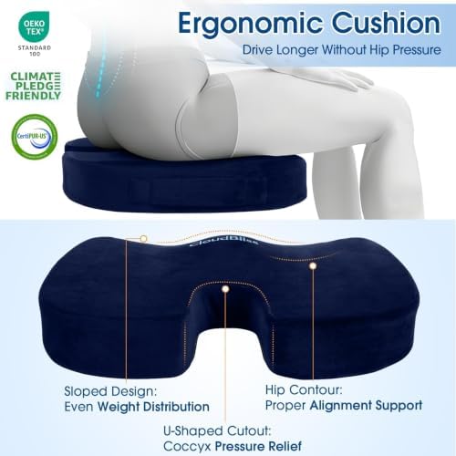 CloudBliss Ergonomic Seat Cushion & Lumbar Support Pillow Set, Blue, XL