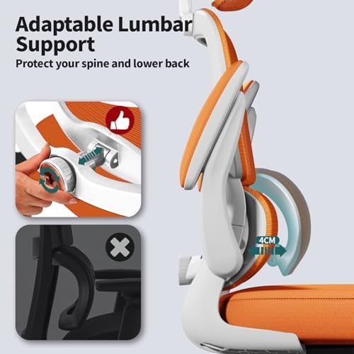 TRALT Office Chair Ergonomic Desk Chair - Gaming Chair with Lumbar Support