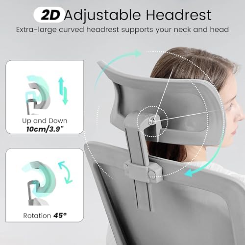 Fizzin Office Chair Mesh Computer Chairs with Adjustable Lumbar Support