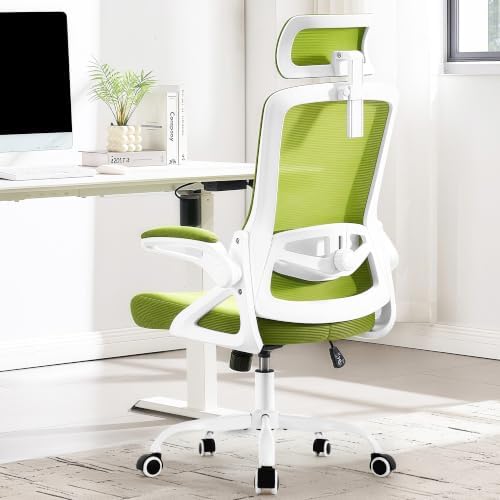 Fizzin Office Chair Mesh Computer Chairs with Adjustable Lumbar Support