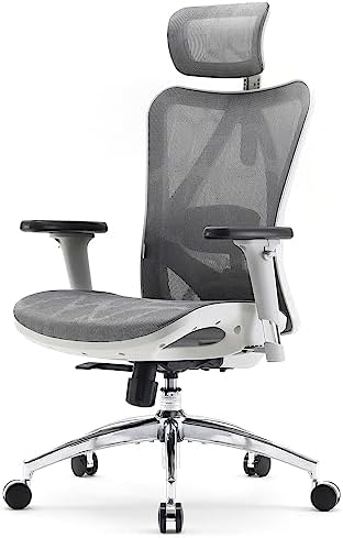SIHOO M57 Ergonomic Office Chair, Mesh Back Desk Chair with 3D Armrests