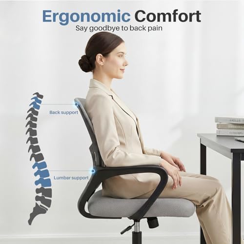 DUMOS Home Office Chair, Ergonomic Lumbar Support Desk Chair