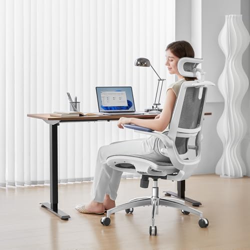 SIHOO M59AS Ergonomic Office Chair, Dual Backrest, Adaptive Lumbar Support