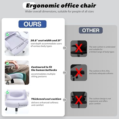Fizzin Office Chair Mesh Computer Chairs with Adjustable Lumbar Support