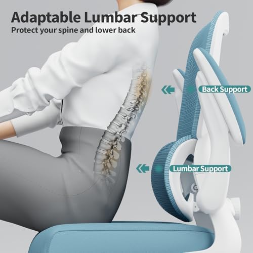 TRALT Office Chair - Ergonomic Desk Chair with Adjustable Lumbar Support, Mesh Computer Chair, Executive Chair for Home Office Comfortable Lumbar Support (1, Sky Blue)