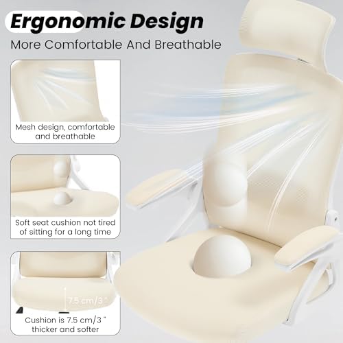 Fizzin Office Chair Mesh Computer Chairs with Adjustable Lumbar Support