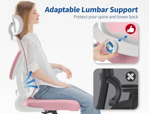 TRALT Ergonomic Office Chair Desk Chair with Adjustable Lumbar Support