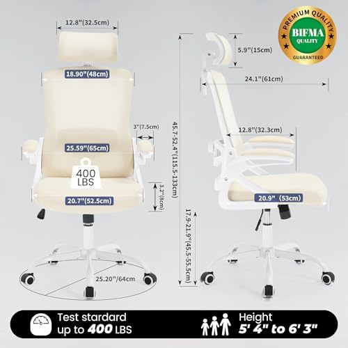 Fizzin Office Chair Mesh Computer Chairs with Adjustable Lumbar Support