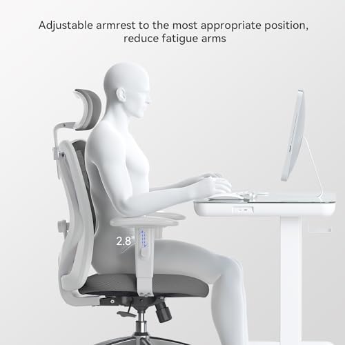 SIHOO M18 Ergonomic Office Chair, Mesh Back Desk Chair with Headrest