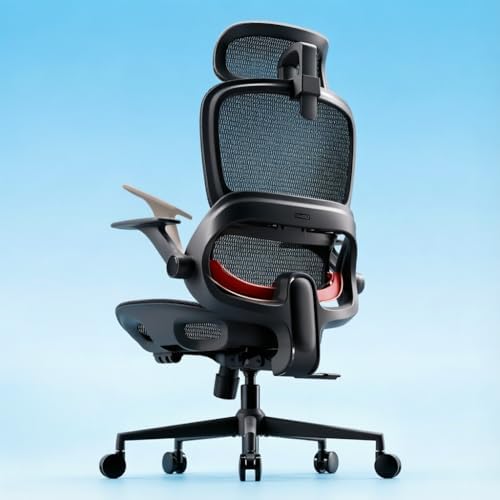 SIHOO B100 Mesh Office Chair, Comfy Ergonomic Office Chair