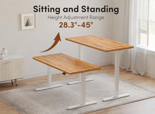 FEZIBO 48 x 24 Inchs Electric Standing Desk, Height Adjustable, Sit Stand Up, Computer Office Desk with Splice Board, White Frame/Light Rustic Top