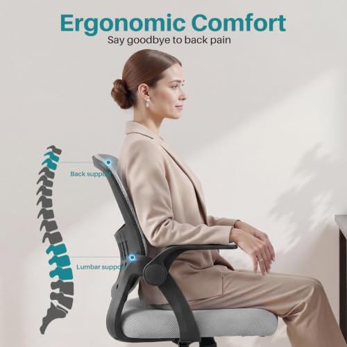 OLIXIS Ergonomic Office Desk Chair, Mid-Back Executive Computer Chair