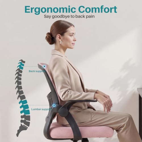 OLIXIS Ergonomic Office Desk Chair, Mid-Back Executive Computer Chair