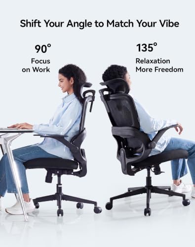 SIHOO B100 SE Ergonomic Office Chair, Desk Chair with Lumbar Support