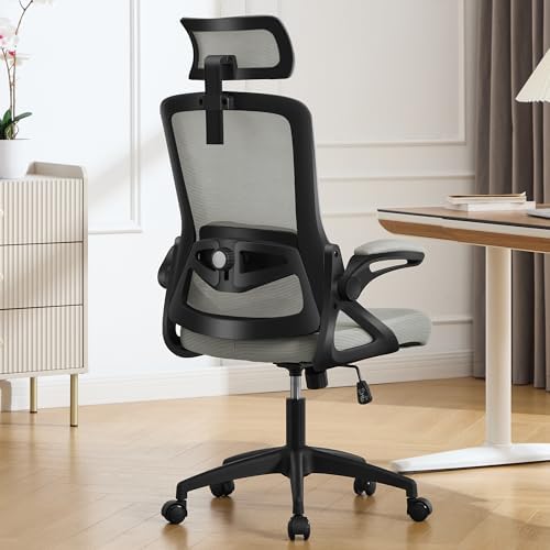 Fizzin Office Chair Mesh Computer Chairs with Adjustable Lumbar Support