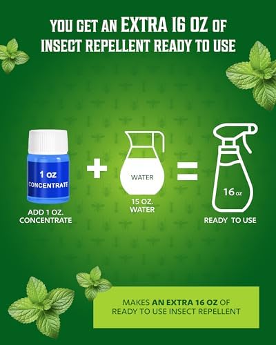 All Natural Bug Spray for Home - Non-Toxic Peppermint Oil Insect and Pest Control Kit - 16 oz + 1 oz value - Ready-to-Use Bug Spray - Indoor and Outdoor Protection- Ant Spray - Spider Repellent Indoor