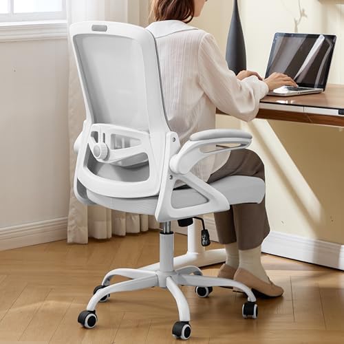 Ergonomic Office Chair Desk Chair with Adjustable Lumbar Support