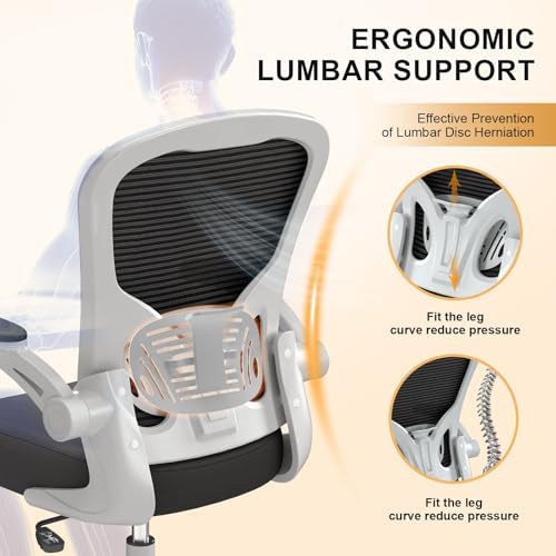 Synorla Office Chair|Ergonomic Desk Chairs 330LBS Capacity