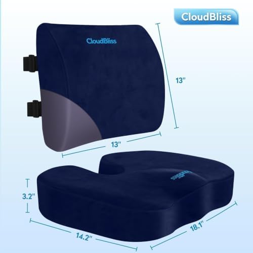 CloudBliss Ergonomic Seat Cushion & Lumbar Support Pillow Set, Blue, Large