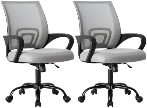 OLIXIS Ergonomic Office Chair 2 Pack, Home Desk Mesh Chairs, Lumbar Support
