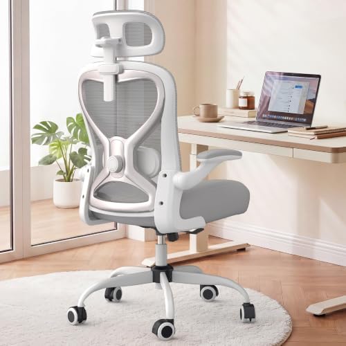 Ergonomic Office Chair for Long Hours – Back & Neck Pain Relief, Virgin Foam Seat, 3D Adjustable Headrest, 2D Lumbar, Flip-Up Arms, Gray/Sliver