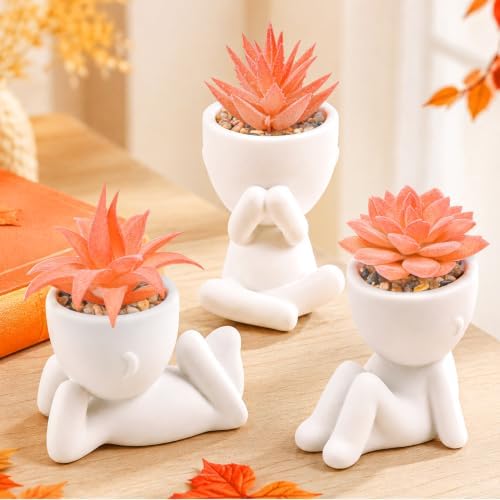 Der Rose 3 Pack Fall Fake Succulents Plants Autumn Room Decor for Bathroom