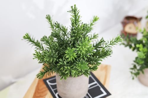 Der Rose 3 Pack Fake Plants Mini Faux Plants for Shelf Classroom Decor