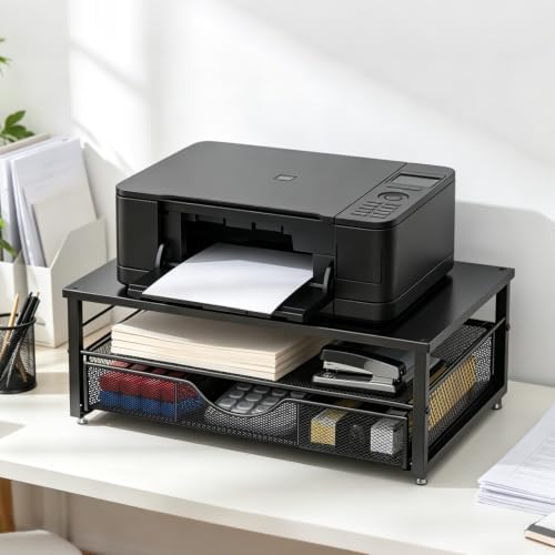 gianotter Computer Monitor Stand Riser with Drawer