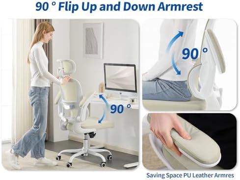 TRALT Ergonomic Office Chair Desk Chair with Adjustable Lumbar Support